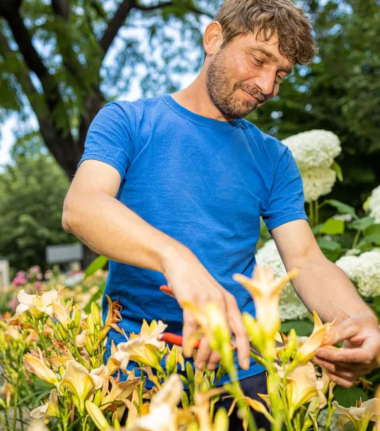 Stellenangebot: Gärtner bei OBACHT Dresden
