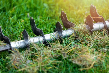 Sie wünschen sich einen dichten und strapazierfähigen Rasen - dann lassen Sie Ihren Rasen vertikutieren und dabei Moos und Rasenfilz entfernen.